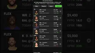 NFL DFS  Week 17 Saturday Night Game