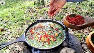 Vegetable cocoa, Yogurt and cucumber/Traditional Iranian food