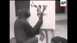 CHIMP'ARTY