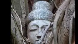 The Buddha's Face