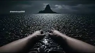 which sea would you swim