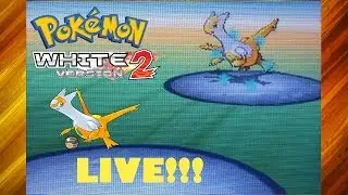 LIVE Shiny Latias in Pokémon White 2 after 1405 SRs! + caught in a luxury ball!
