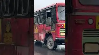 MSTCT ST Lal Pari in rain Beautiful red bus
