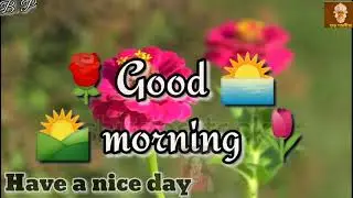 Good Morning Nagpuri videos Song //Good Morning WhatsApp Status Video 2020 //Good Morning //