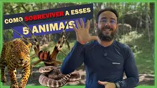 Top 5 animais mais perigosos no Brasil e como lidar com eles no meio do mato