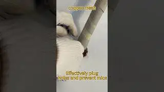 copper mesh|rat trap|Snail removal net