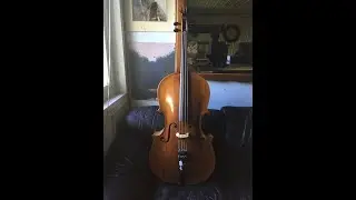 Cello as an Acustic Bass Guitar ? WTF