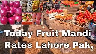 Fruit Mandi Business in Pakistan | Fruit Mandi Lahore Pakistan | Today Fruit Mandi Rates, Best Fruit