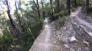 North South track MT Wellington