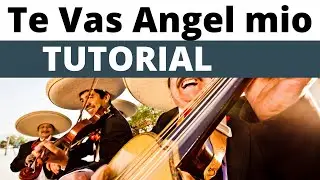 Como tocar - Te vas angel mio { Tutorial con guitarra } principiantes