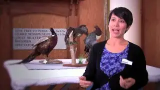 Waikato Museum Behind the Scenes - Salina Ghazally - Curator