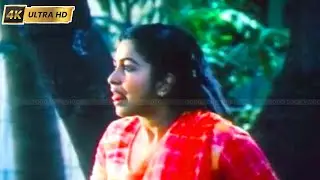 Radhika | நள் அன்பேதான் தாய்யானது பாடல் | Nal Anbedhan song | K.S.Chithra | Kai Veesama Kai Veesu .
