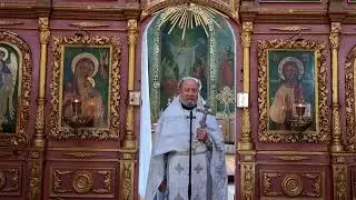 Проповедь протоиерея Василия Корнуты в Неделю 7-ю по Пасхе (16.06.2024)