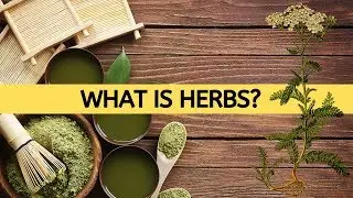 What Is Herbs? / Herb And Their Uses