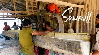 rural sawmill |wood cutting machine| Bangladeshi Village Sawmill