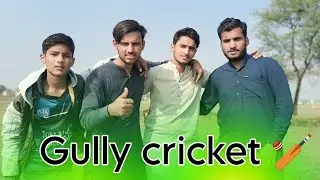 GULLY CRICKET 🏏 VERY FUNNY VIDEO | L2H | LOFER2HELL