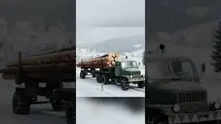 Timber Transport: The Hard Way