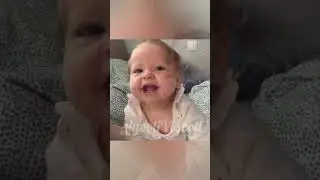 funny babies videos ❤ Try Not To Laugh #219 || JigooliVigooli #shorts #baby #funny