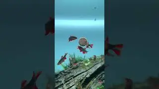 The Most Beautiful Aquarium Fish (Care & Setup Guide)