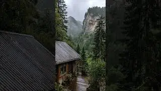 Deep Sleep Sanctuary &ndash; Emotional Rain in the Forest