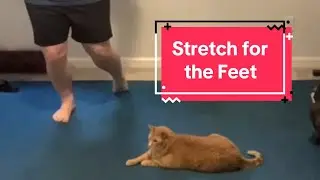 Taking A Few Days Off: Stretch for the Feet