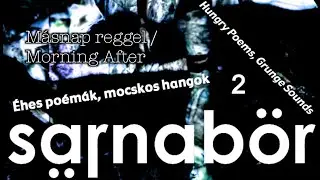 Sarnab&ouml;r: M&aacute;snap reggel / Morning After