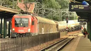 Trenuri de Marfă în Gara Sinaia 🚊 ⛰🚉 Cargo Trains in Sinaia Railway Station -  26 August 2024