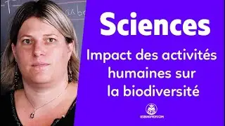 Impact des activités humaines sur la biodiversité  - Sciences - Terminale - Les Bons Profs