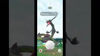 23 Skies, 15 Shadows | PhantomGrin vs Mega Rayquaza
