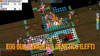 ORANGE BRIGADE 09/03/2017