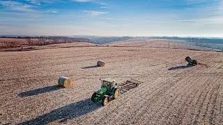 Moving Corn Fodder with the JCB Teleskid