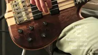 【Qsic】Ken Smith BSR5TN Black Tiger【売約済】