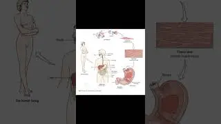 structural complexity of human body #education #anatomy #physiology #learnmedicine__