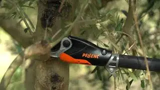 Pellenc Long Reach Prunion Pruning Shears 2020 from Etesia UK