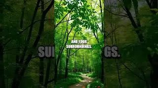 The Power of Nature-Based Mindfulness