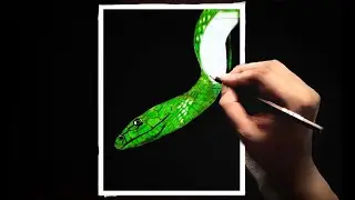 How to Draw a Realistic Snake | Time Lapse.