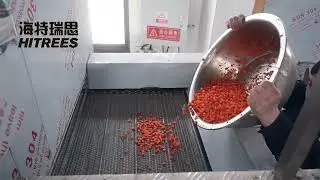 #HITREES Fluidized Tunner Freezer for carrots