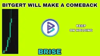 BRISE TOKEN WILL MAKE A COMEBACK IN 2025⁉️ BITGERT KEEP ON HOLDING⁉️ BRISE CAN MAKE A SURPRISE