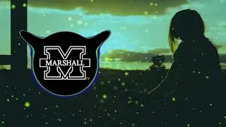 Bollywood remix song | Hal-e-dil mera pucho na sanam | Trap music mix | M Paul