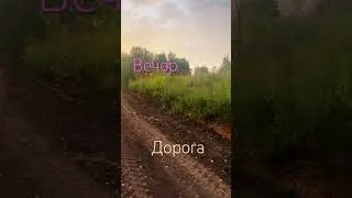 Новая дорога #дача #садоводничество #garden #сорт #plants #цветыдлядома #cat #сортовыеорхидеи #сад
