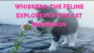 Whiskers: The Feline Explorer of the Cat Dimension