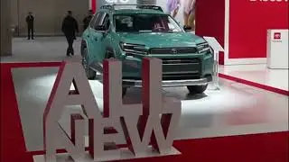 Stunning 2026 Toyota Rav4 Woodland color options