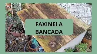 PINTEI PORTA-RETRATOS , REPLANTE DA FANTOME E FIZ UMA FAXINA NA BANCADA