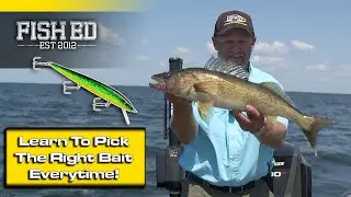 Rogue Walleyes