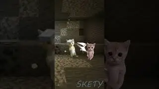 miguel minecraftin #minecraft #cats