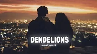 Ruth B - Dandelions (slowed reverb)