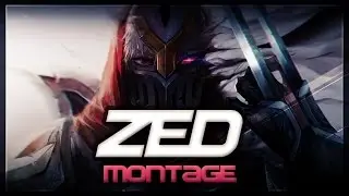 Zed Montage 