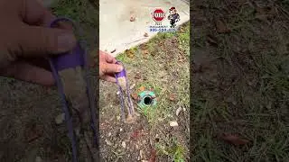 Checking SENTRICON BAIT STATION for Termites #shorts