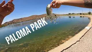 I wanted to catch a fish; So I did