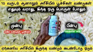 🍚உங்க வீட்டு அரிசியில்🌾இனி ஒரு வண்டு பூச்சி🐞கூட இருக்காது | How To Get Rid Of Rice Weevils In Tamil